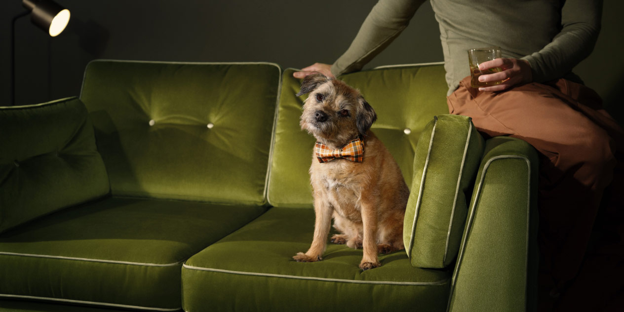 Fabric Sofa Buying Guide Types of material and more